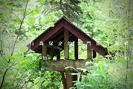 行為保全的大門是否就此敞開？評最高院知產(chǎn)行為保全司法解釋